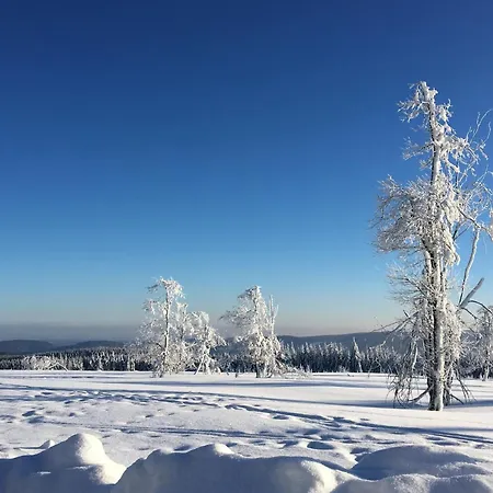 Mit Sauna In Tatil Evi Winterberg