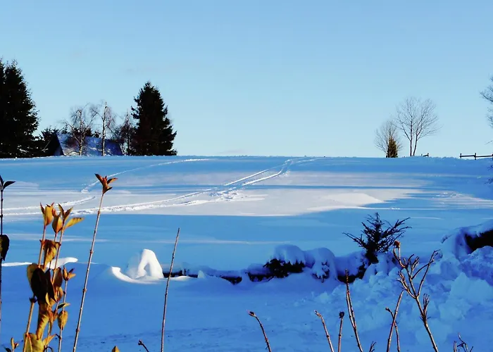 Mit Sauna In Дом отдыха *
