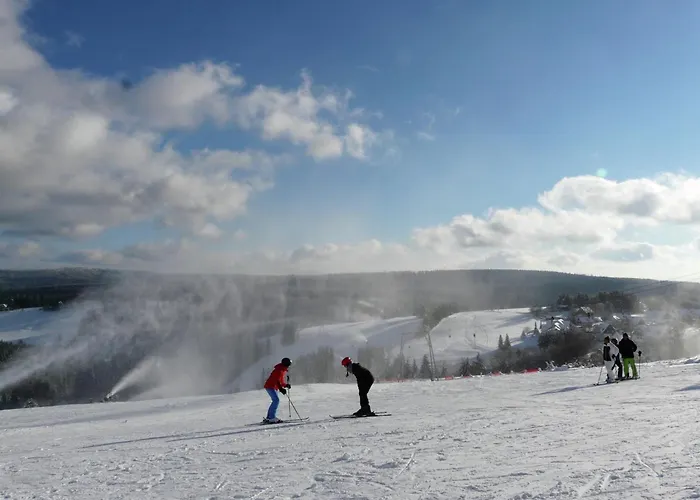 Winterberg Gruppenhaus Mit Sauna Ideal Fuer Familien & Freunde 温特贝格