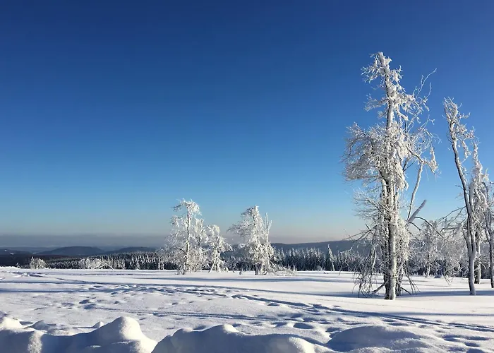 Winterberg Gruppenhaus Mit Sauna Ideal Fuer Familien & Freunde 度假居 温特贝格